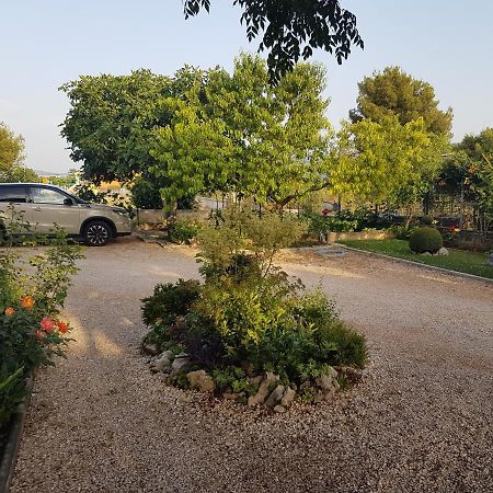 Gabi Rooms & Studio Apartment Lozovac Zewnętrze zdjęcie