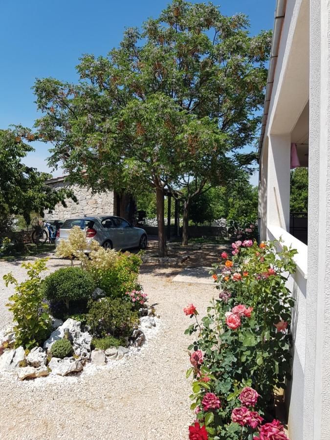 Gabi Rooms & Studio Apartment Lozovac Zewnętrze zdjęcie